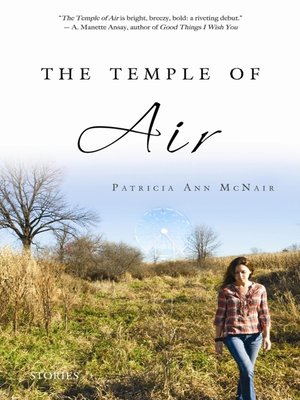 cover image of The Temple of Air